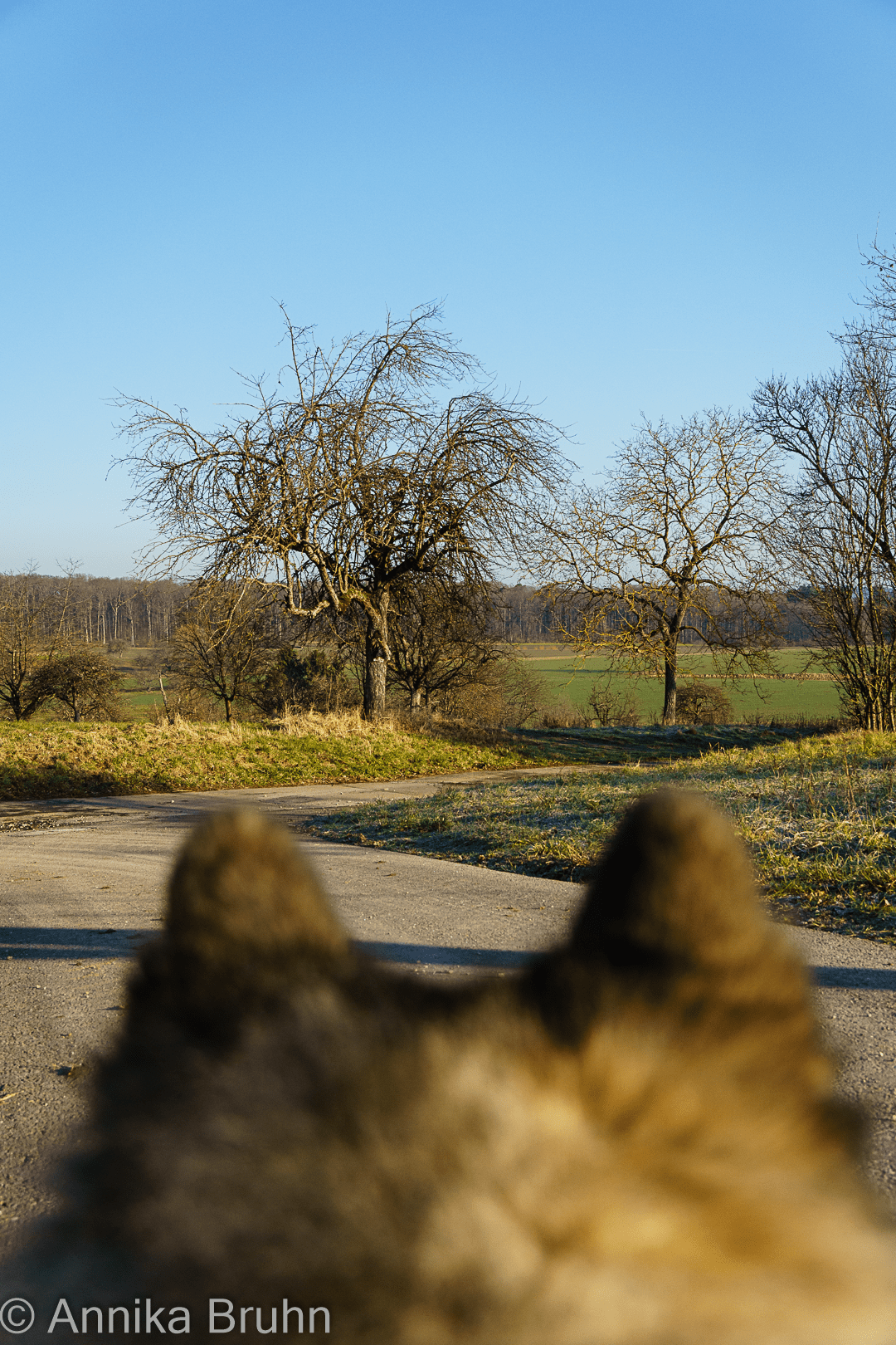 Qs Blickrichtung